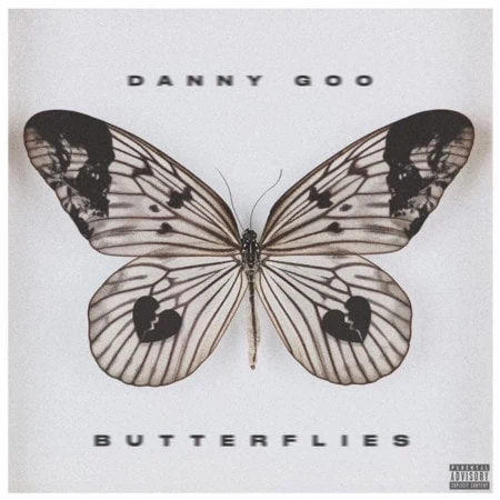 Danny Goo Butterflies