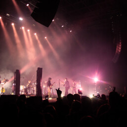 Hippo Campus Mission Denver 2025 64