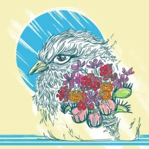 the best albums of 2017 15